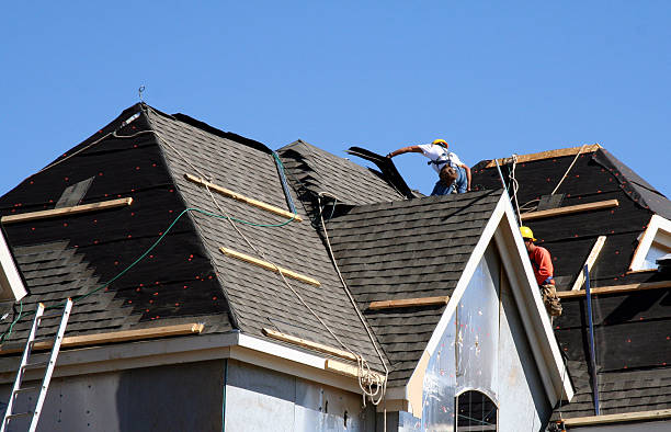 Best Metal Roofing Contractor  in Fennville, MI