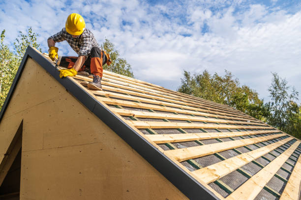 Best Local Roofing Companies  in Fennville, MI