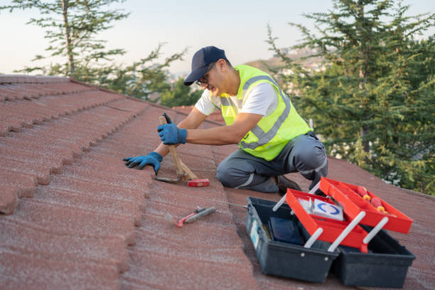 Best Emergency Roof Repair  in Fennville, MI