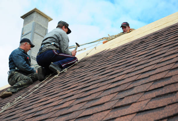 Quick and Trustworthy Emergency Roof Repair Services in Fennville, MI