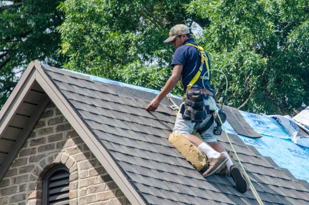 Best Storm Damage Roof Repair  in Fennville, MI